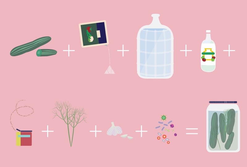 Illustration for article titled How Microbes Make Fermented Food